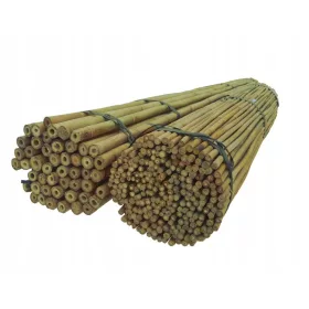  Dixiestore bambusz rúd 150 cm x 12 mm 25 db.