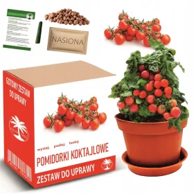  Készlet COCKTAIL TOMATO paradicsom termesztéséhez