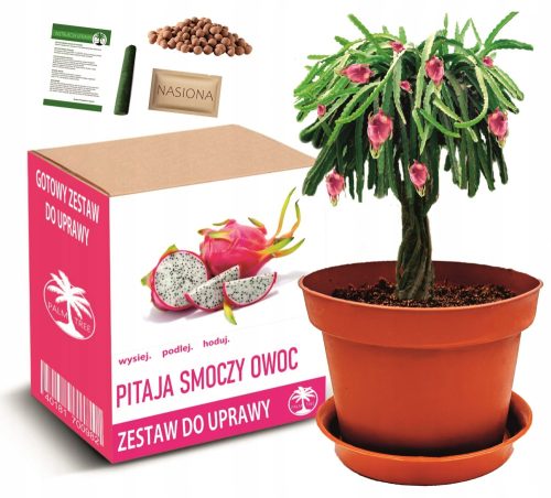  Magkészlet Görögdinnye (Sugar Baby) 1 g