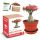  DESERT ROSE virágfa bonsai termesztő készlet