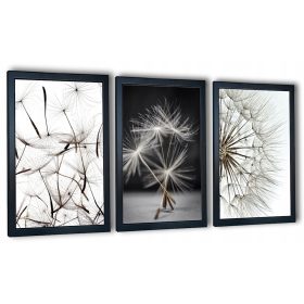    3 db pitypang festményből álló készlet keretben, 99x43cm