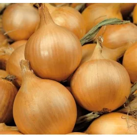  Késői magvak 500 g