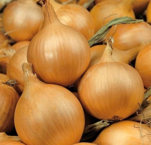  Késői magvak 500 g