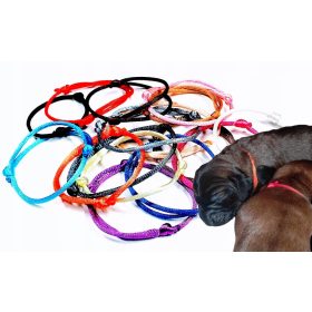   Póráz, hám egy macskának - Macskaeledel ínyenc marhahús és paradicsom 12x85g