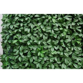  Művirágok, gyümölcsök - Ligustr mesterséges sövény kerítések és falak számára