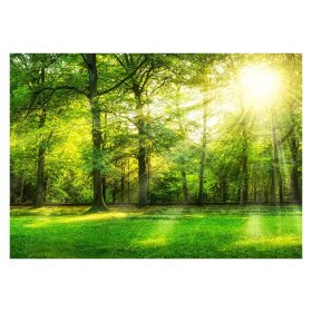 3D erdei fák tapéta 368x254 F00772