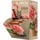  Biopon folyékony többkomponensű műtrágya 0,01 kg 0,035 l