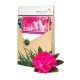  RHODOENDRON MYCORRHIZA – AZ EGYETLEN IGAZI ERM
