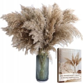  Virág dekoráció - SZÁRÍTOTT PAMPÁZFŰ VÁZÁHOZ, DÍSZPÁZSOK
