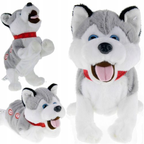  A FIGO interaktív KUTYA REAGÁL A Husky PARANCSOKRA