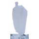 Agrotextília - Takaró agrotextília (tél-tavasz) Green Dom fehér 300 x 320 cm 50 g/m²