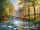 Klasszikus puzzle - PUZZLE PUZZLE LANDSCAPE RIVER FOREST 3000 CASTOR