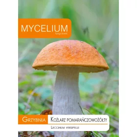  Micélium Narancssárga micélium 10 g