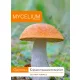  Micélium Narancssárga micélium 10 g