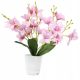 Művirágok, gyümölcsök - MŰVIRÁGOK CSEREKBEN Orchidea 40 cm