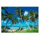 Falikép PARADISE BEACH 3D Pálmatenger 416x254