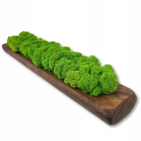   Falfestészet - Fából készült virágcserép természetes mohával