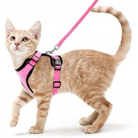    Nyomásmentes hám macskáknak és kutyáknak pórázzal, rózsaszín