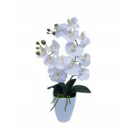   Művirágok, gyümölcsök - Fincan Perfuars a 32X7 Homla kiszolgálására