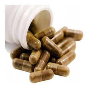 Pierzga méh - toll kapszulákban