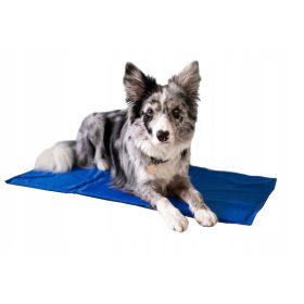   Nyugágy, kutyaágy - Josera Fesztivál, egy durva kutya 15 kg