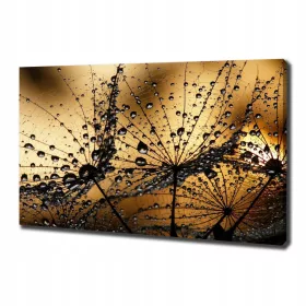   Falfestészet - Fotófestmény vászonra Pitypang mag 100x70 cm