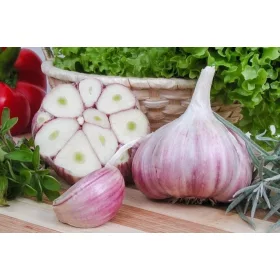  Harnaś téli fokhagyma, lengyel minősítés, 1kg