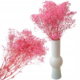   Virág dekoráció - RÓZSASZÍN SZÁRÍTOTT TERMÉSZETES VAKOLÁS NAGY CSOKOR