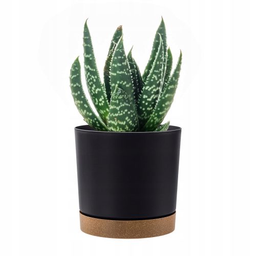  Prosperplast virágcserép 24 cm x 24 x 23,1 cm átmérő 24 cm műanyag fekete, grafit, barna és bézs árnyalatok