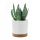  Prosperplast virágcserép 24 cm x 24 x 23,1 cm átmérője 24 cm műanyag fehér, barna és bézs árnyalatai