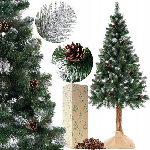 Karácsonyfa - SŰRŰ GYÉMÁNTFENYŐ KARÁCSONYFA, 220 cm, SŰRŰ TÖRZSEN