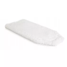 Raypath lapos felmosó