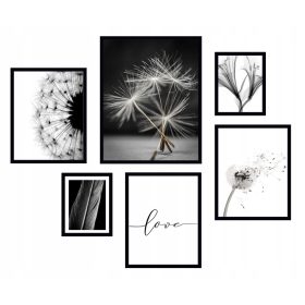 Falfestészet - 6x KÉPKERET PLAKÁT BOHO FRAME DANDELICE