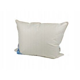  PÁRNA 50X60 DOWN 0,7 KG, PAMUT 100%