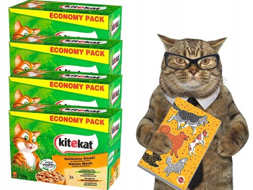 Konzerv macskáknak - Finom ízek 48 x 100 g mártással