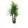 Művirágok, gyümölcsök - Mesterséges Dracaena fa 140 cm