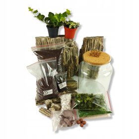   Növény terrárium - ERDŐ EGY TEGÉLYBEN – csináld magad DIY Cylinder 1+ ingyen