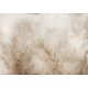 FOTÓTApéta FŰ RÉT TERMÉSZET 400x280 bC-10315-aa