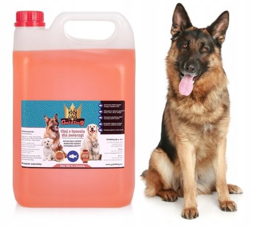 Vitaminok macskáknak - Golddog 5L lazacolaj egy kutya és egy macska számára
