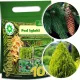 Kerti műtrágya - Kert 2001 Conifers 10 kg -os kénszerű tűlevelű thui