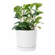  Prosperplast virágcserép 30 cm x 30 x 28 cm átmérőjű 30 cm műanyag fehér