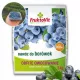 Kerti műtrágya - Fruktovit többkomponensű műtrágya granulátum 5 kg 5 l