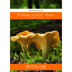  Micélium Rókagomba mikorrhiza