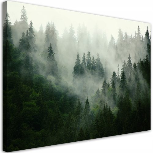 Falfestészet - Kép vászonra, Ködös erdei természet 120x80 120x8