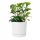  Prosperplast virágcserép 35 cm x 35 x 32 cm átmérője 35 cm műanyag fehér