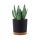  Prosperplast virágcserép 30 cm x 30 x 28 cm átmérő 30 cm műanyag fekete, grafit