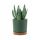  Prosperplast virágcserép 35 cm x 35 x 32 cm átmérőjű 35 cm műanyag árnyalatú zöld