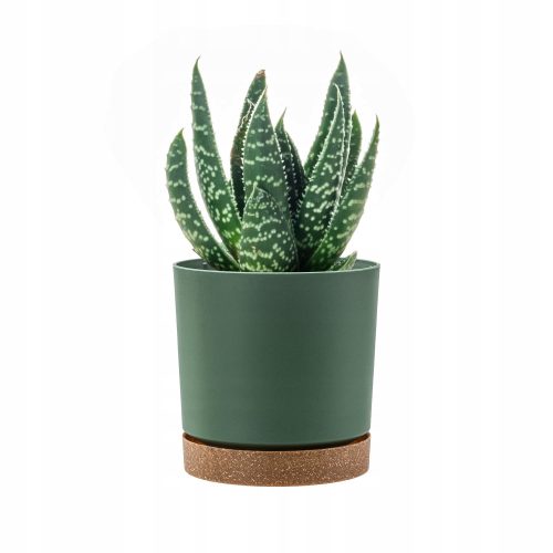  Prosperplast virágcserép 35 cm x 35 x 32 cm átmérőjű 35 cm műanyag árnyalatú zöld