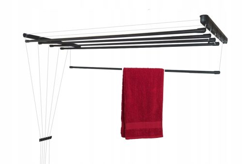 Ruhaszárító állvány - Mennyezeti szárító, acél, fekete, 5 rúd - 130 cm