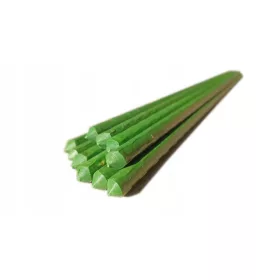   Növényi támasztó - Acéloszlop növényekhez 150 cm x 8 mm 10 db.